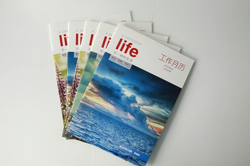 解锁画册设计密码 如何让你的图文快印店出品更具高级气质